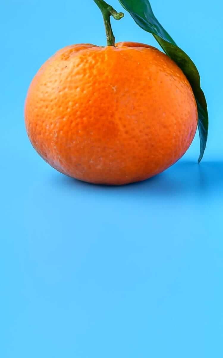 Image of an orange